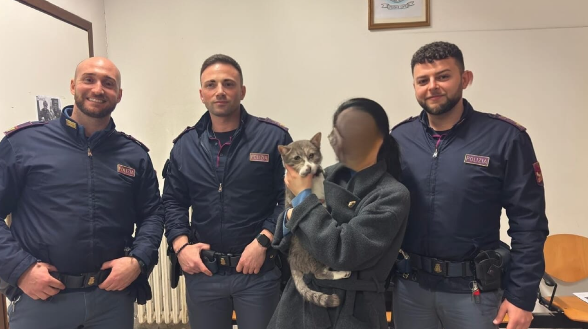 Rubano il gattino dall’auto, poi il lieto fine grazie alla Polizia - 
