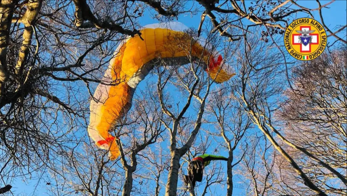 Parapendista precipita tra gli alberi: bloccata sui rami - 