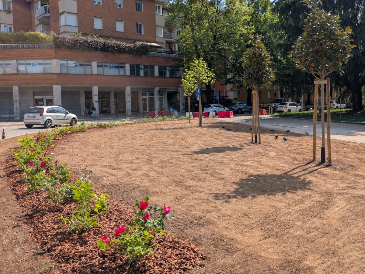 Piazzale Cavedalis, lavori agli sgoccioli: nuovo snodo più sicuro per il centro studi - 