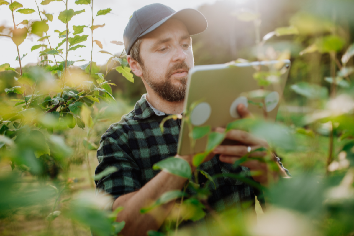 Agricoltura 4.0, il CeFAP avvia il corso per Tecnici Smart Farming: iscrizioni aperte - 