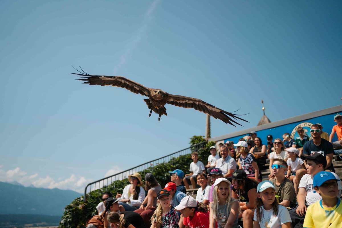 Viaggio tra zoo e parchi: natura e animali conquistano grandi e bambini in Carinzia - 