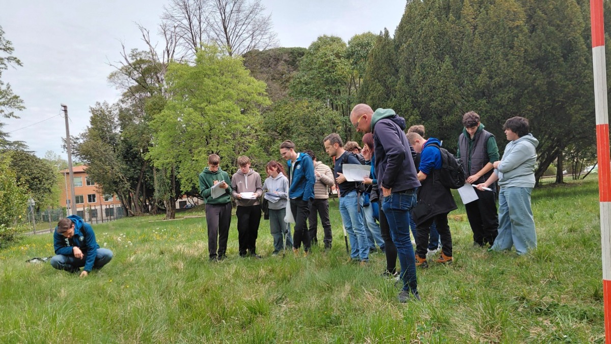 Biodiversità sotto la lente a Gorizia: studenti e botanici insieme al parco Basaglia - 