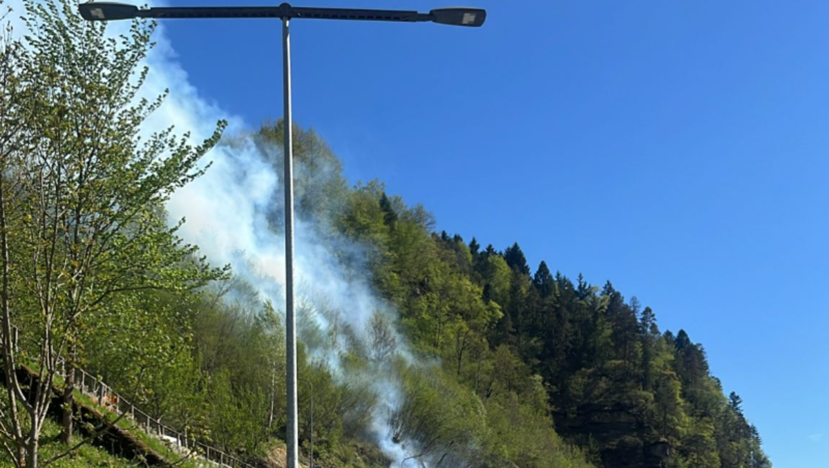 Incendio a Comeglians, fiamme in espansione: in azione elicottero e squadre a terra - 