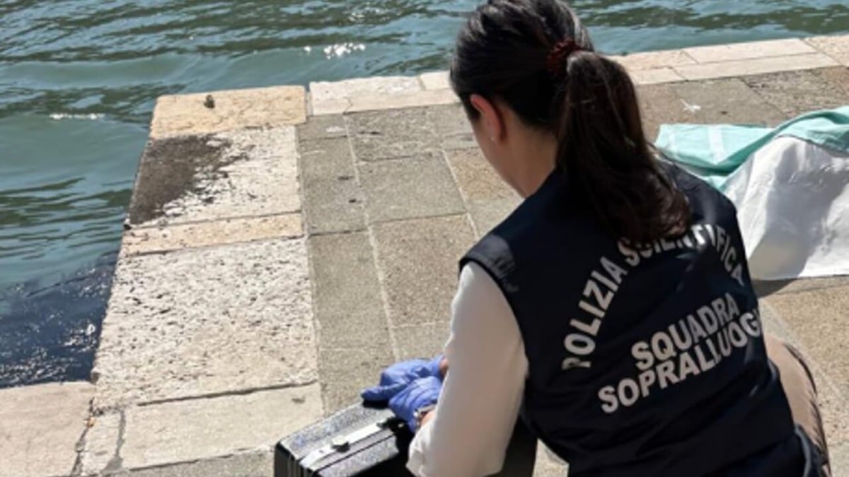 "C'è un corpo in Laguna": ripescato il cadavere di un uomo