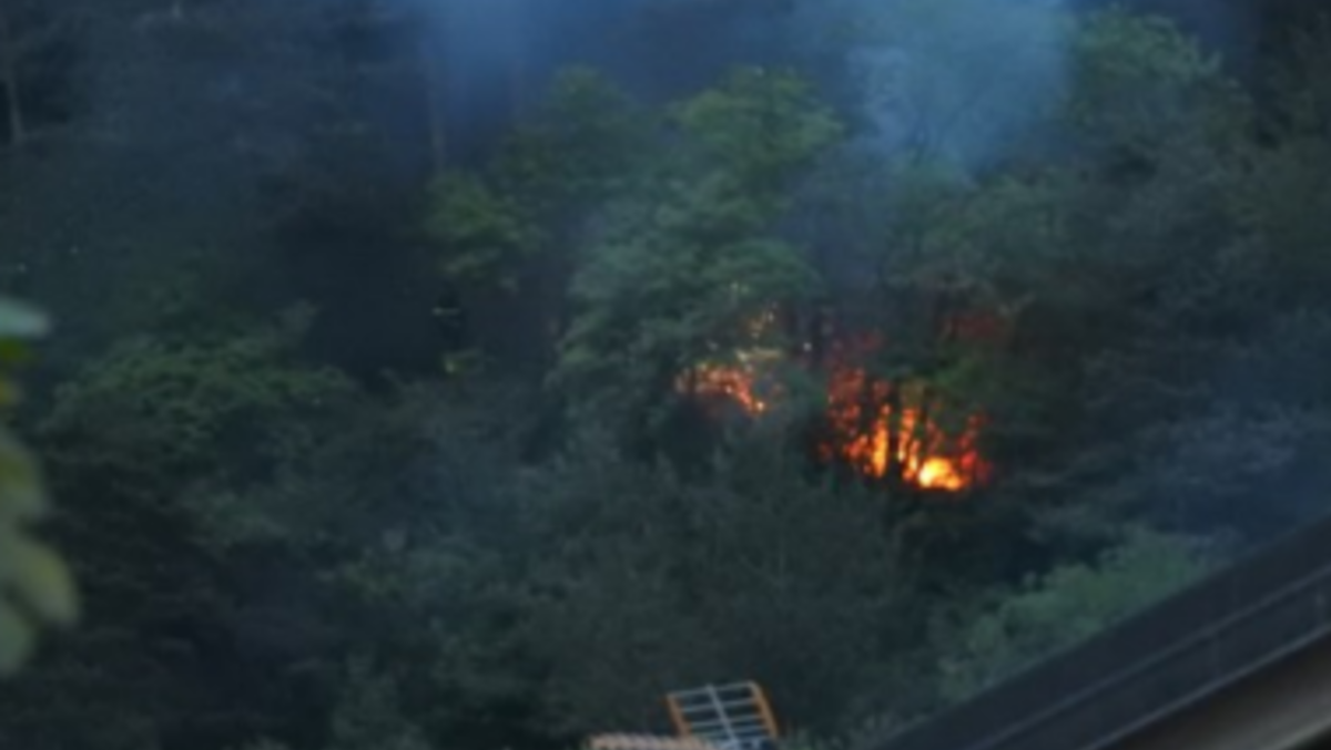 Tolmezzo, incendio sul Monte Strabut: bruciati 300 metri quadrati di bosco - 