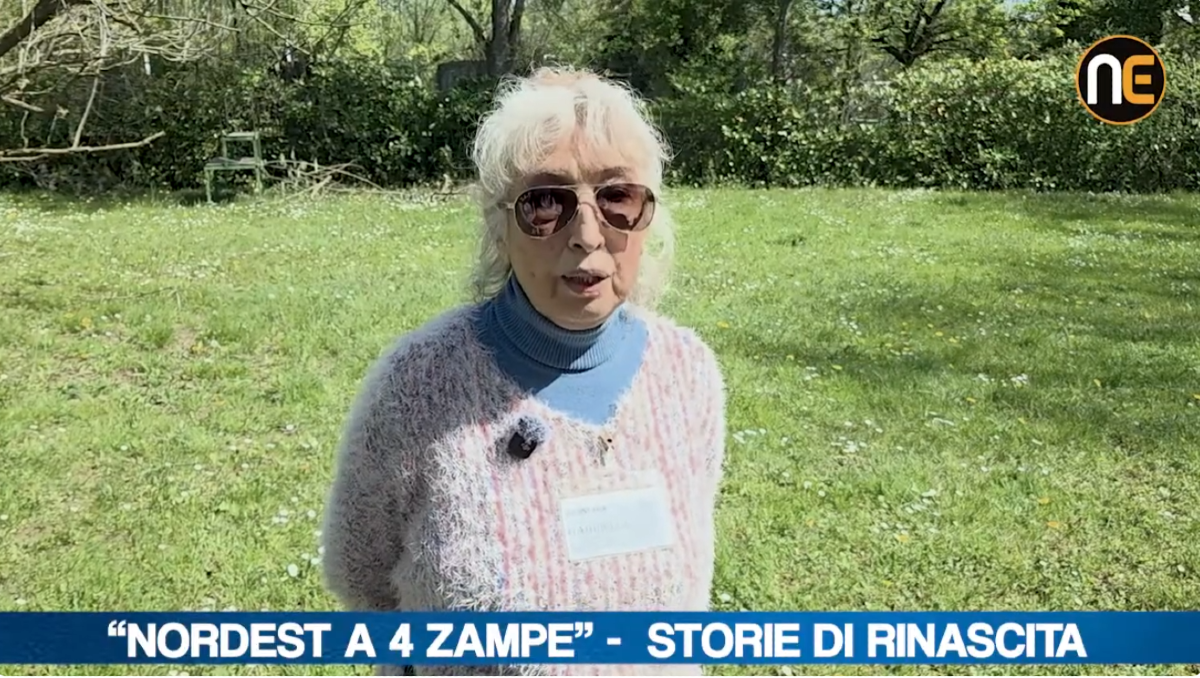 Nordest a 4 zampe fa tappa a Porpetto: storie, impegno e adozioni dal canile Made in Friuli | VIDEO - 