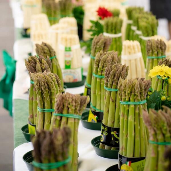 Germogli di Primavera, asparago IGP protagonista tra Cimadolmo e Badoere