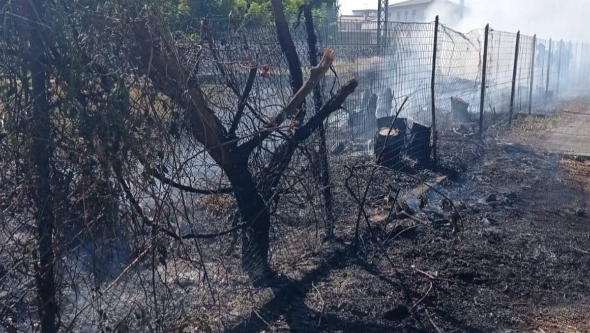 Bassano, incendio a ridosso dei binari: stop temporaneo ai treni sulla linea per Castelfranco - 