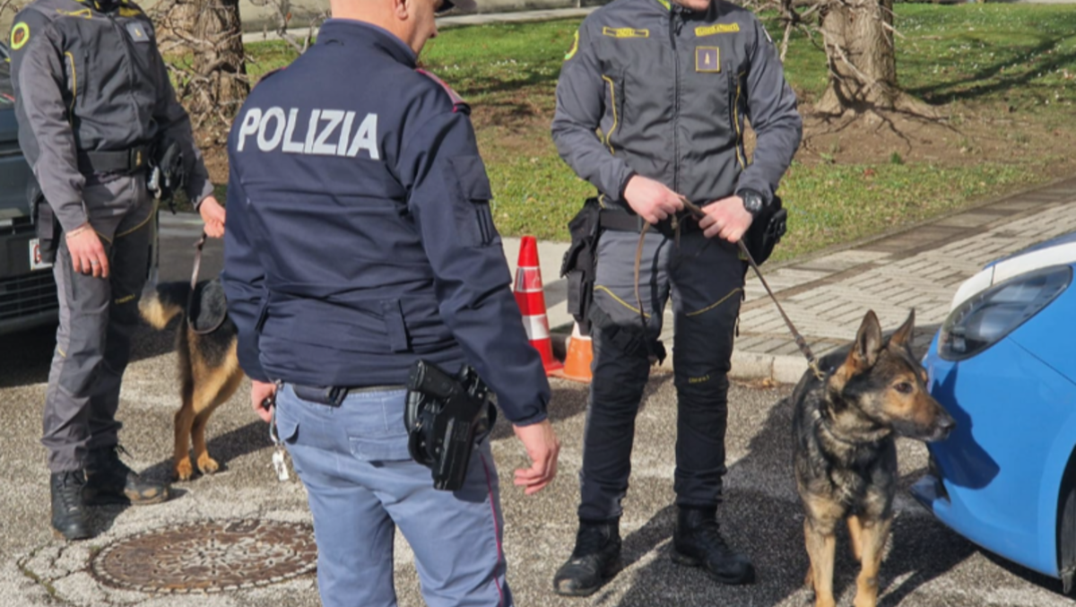 Controlli fuori da scuola a Treviso: negli zaini coltello, alcol e droga - Immagine di repertorio