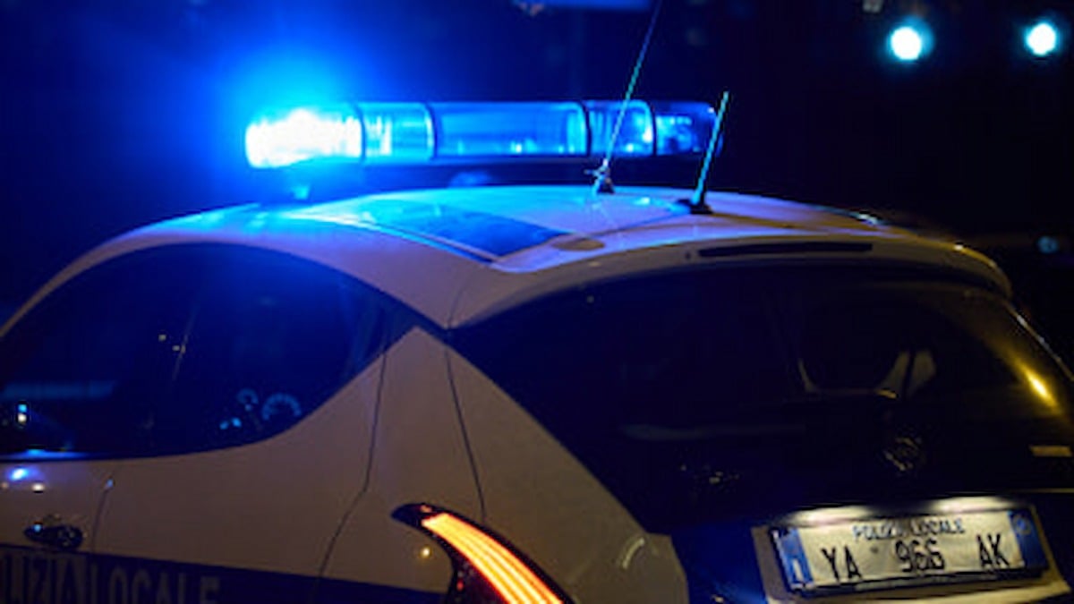 Tragedia a Udine: cane anziano cade dal secondo piano e muore sul colpo - 