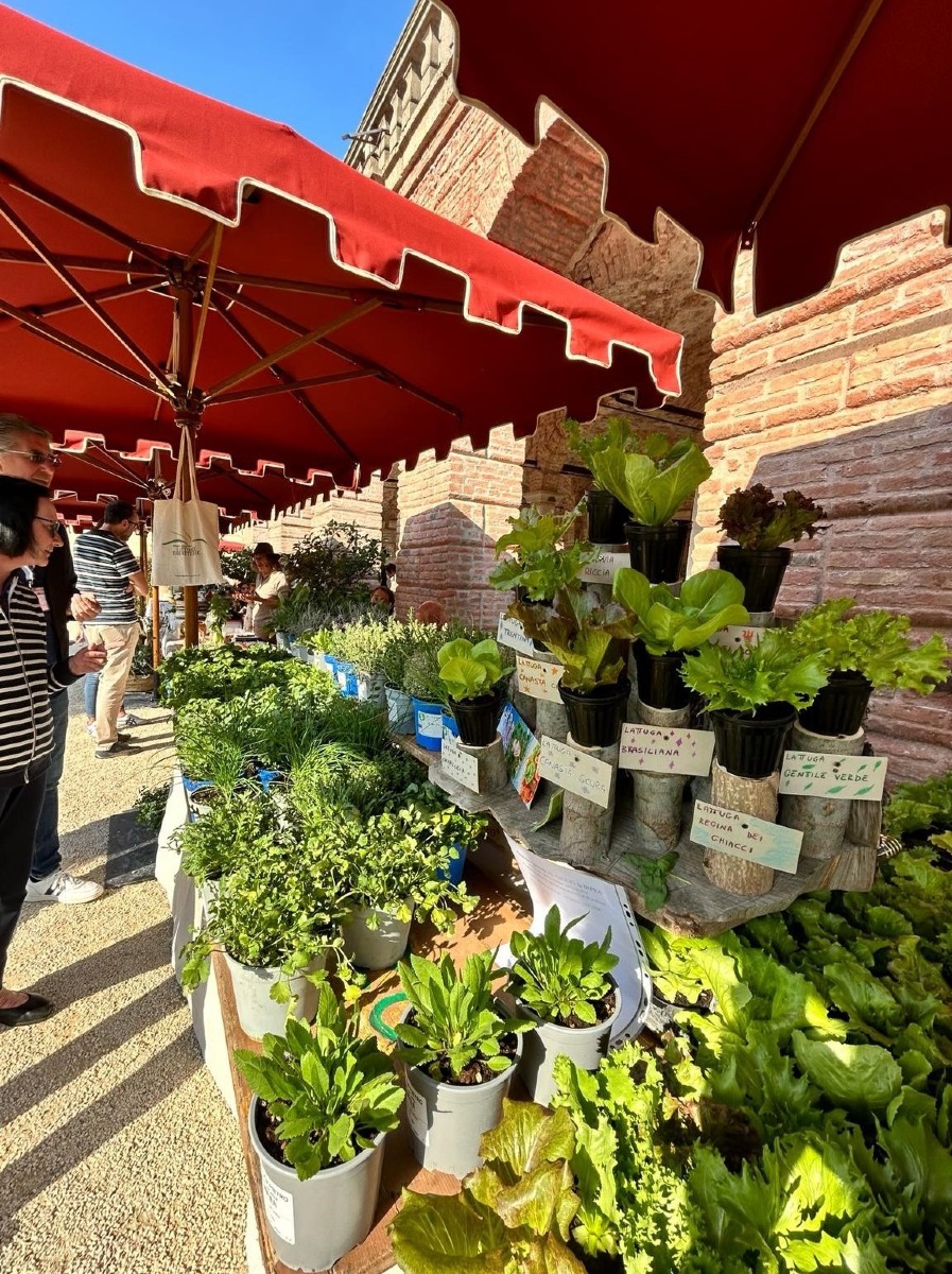 𝐇𝐄𝐑𝐁𝐀𝐑𝐈𝐔𝐌 - 𝐕𝐢𝐥𝐥𝐚 𝐝𝐞𝐢 𝐕𝐞𝐬𝐜𝐨𝐯𝐢