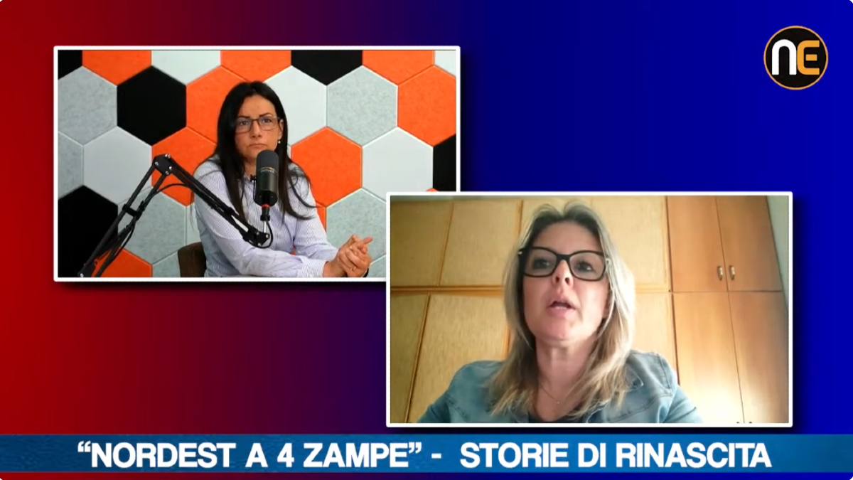 Nordest a 4 Zampe, accumulatori di animali: il racconto degli "Amici di Poldo" | VIDEO - 