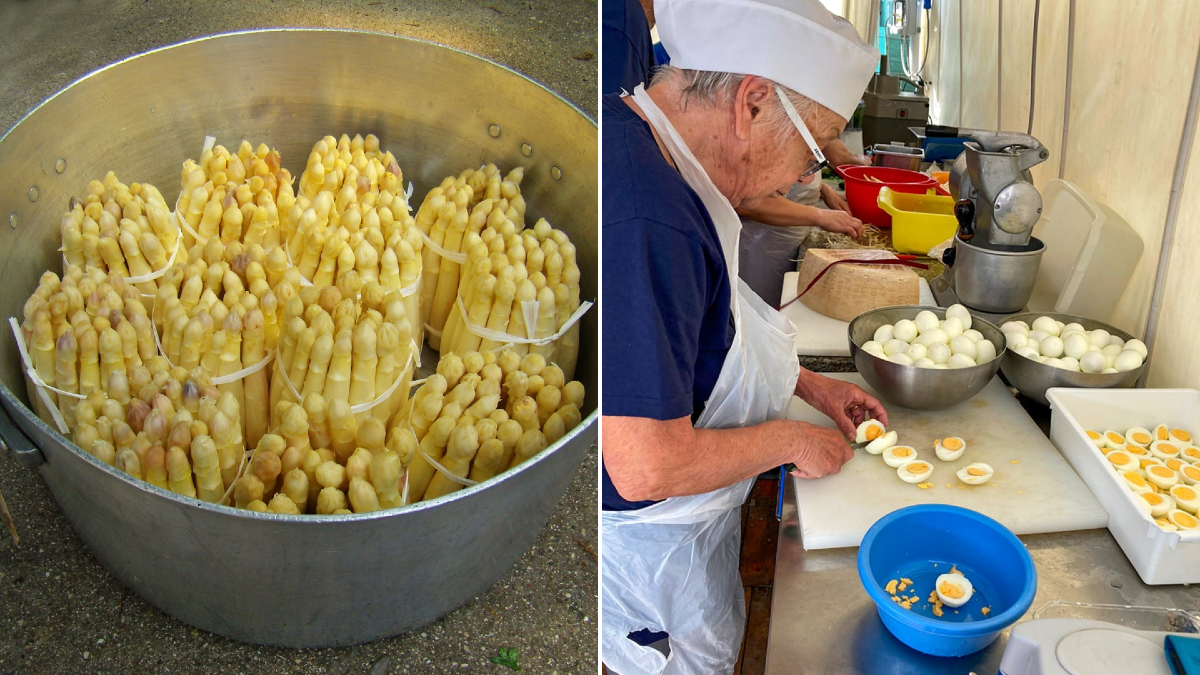 Asparagi in Friuli Venezia Giulia: sagre, feste e ristoranti dove andare a maggio 2026 - 