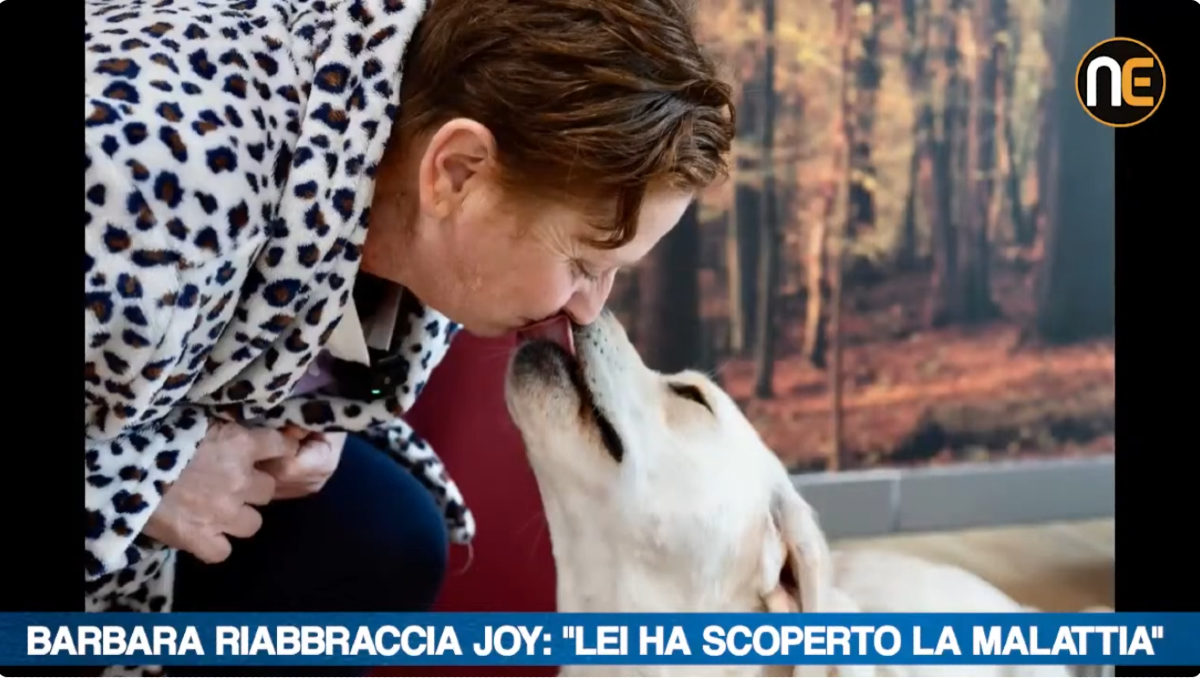 Joy, il cane che ha segnalato il tumore alla sua padrona. La sua storia a Nordest24 | VIDEO - 