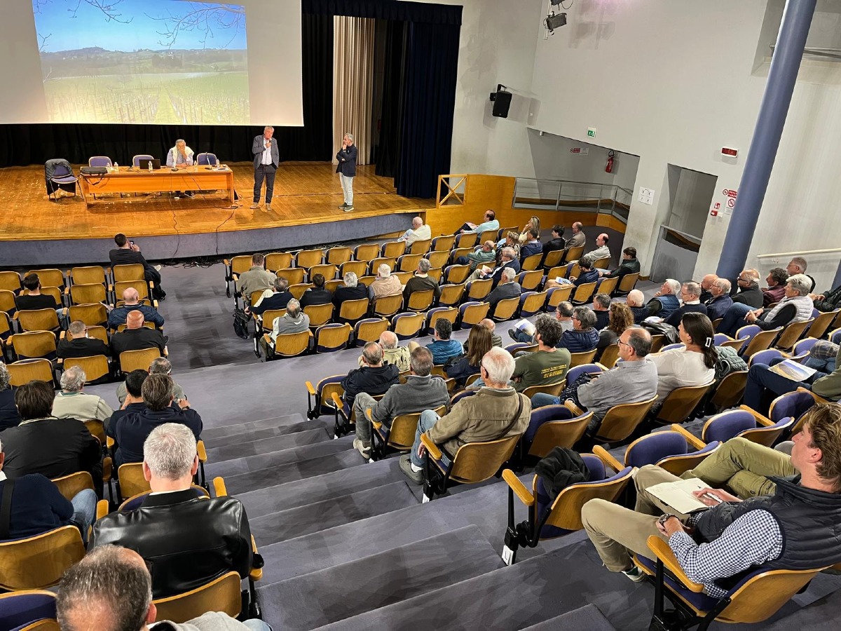 Viticoltura sostenibile, confronto a Conegliano su difesa integrata e vigneti - 