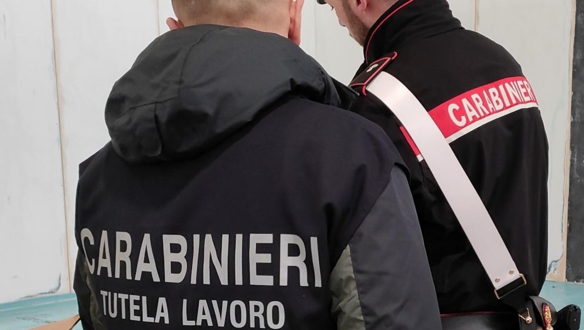 Raffica di controlli dei Carabinieri a Udine: attività sospese, irregolarità e sanzioni  - 