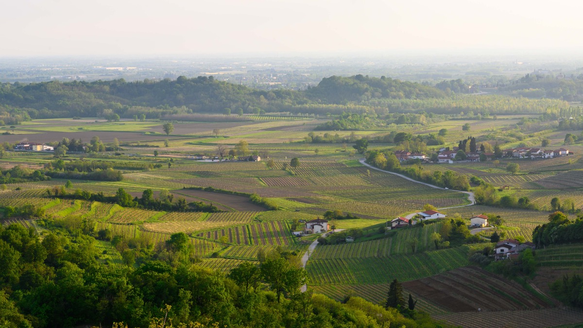 FAI Gorizia, dal Preval alla Prefettura: il calendario delle visite - 