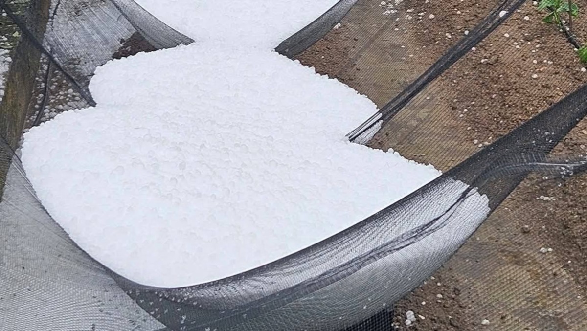 Maltempo e grandine tra Veneto e Friuli: clima impazzito o temporali normali? - 