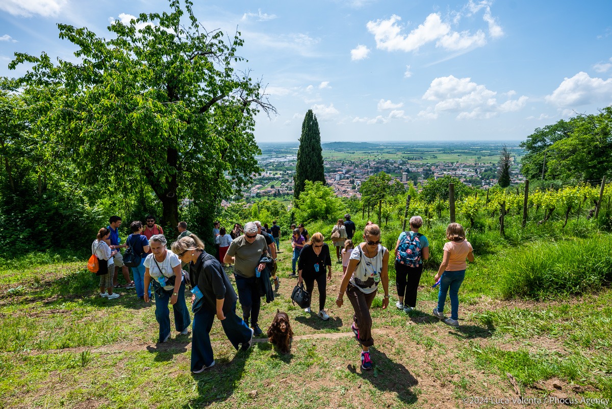 Cormòns, la Fieste da Viarte torna il 24 maggio sul Monte Quarin - 