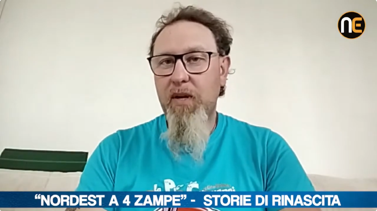 Pecore nane uccise dagli sciacalli: il dolore della Fattoria Cumugnai | VIDEO