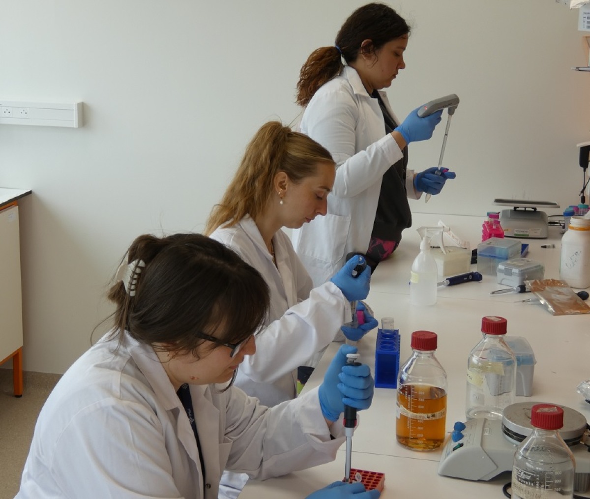 Biotecnologie innovative, Udine capofila di un progetto europeo da 4,5 milioni - 