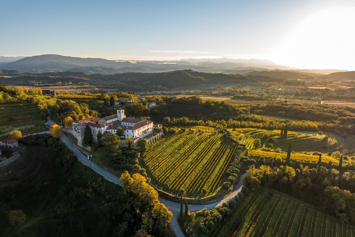 Manzano, il 24 maggio torna “Fai un giro in vigna” tra Abbazia di Rosazzo e Villa Maseri - 