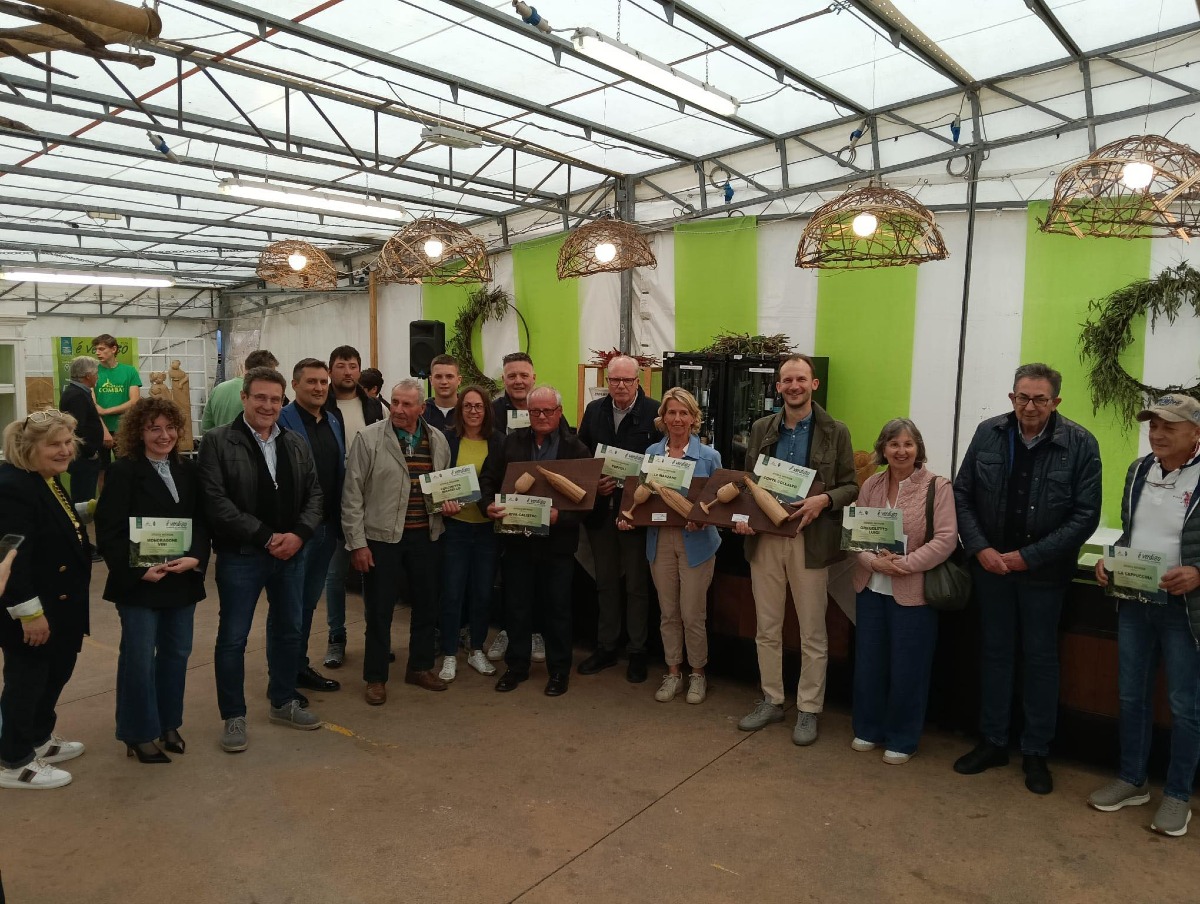 Combai, chiusa la 35ª Mostra del vino Verdiso: premiate tre cantine - 