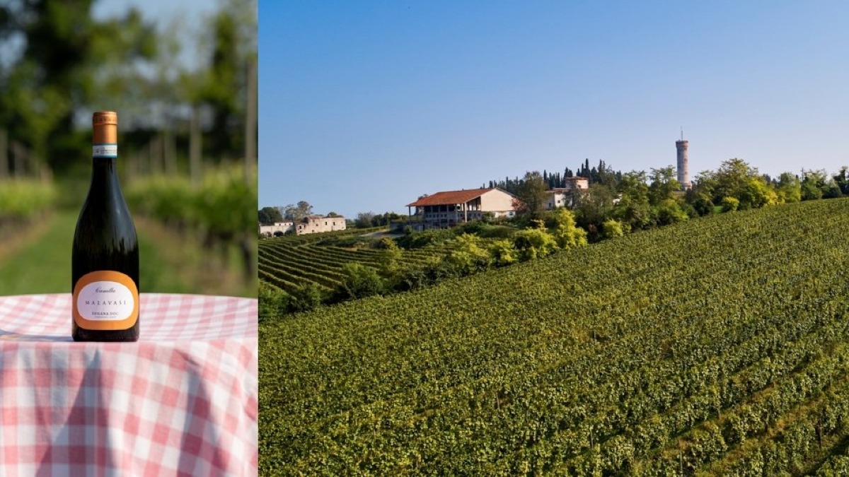 Vinitaly 2026, il Lugana Camilla 2025 di Tenuta Malavasi è il miglior bianco - 
