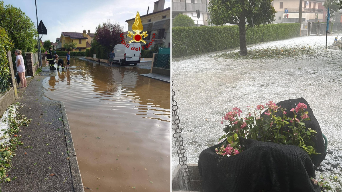 Temporali nel Trevigiano, dieci uscite dei pompieri tra alberi instabili e ristagni d’acqua - 