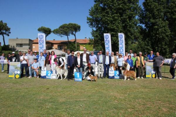 Albarella, 438 cani in gara per la 23ª Esposizione nazionale cinofila