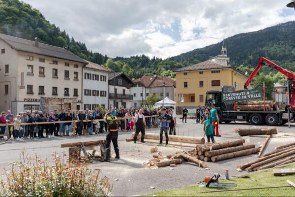 Foresta in Valle 2026, a Paularo chiude la quarta edizione