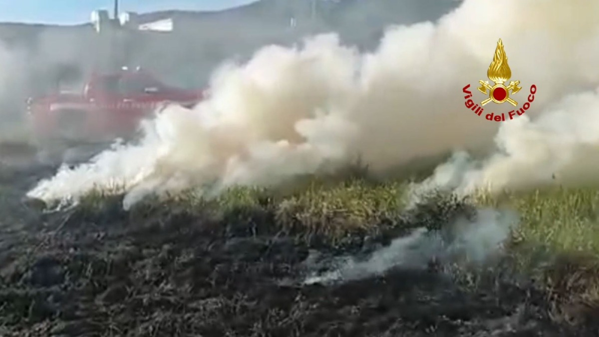Trieste, incendio sulla Bonomea: contenuto il rogo vicino ai ripetitori tv - 