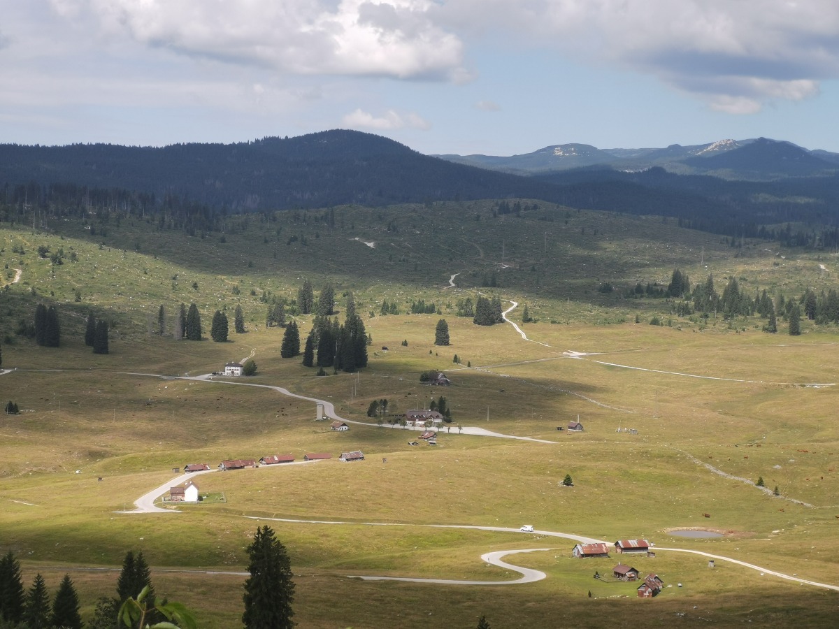 Marcesina riparte dal bosco: in arrivo 3mila nuove piante nell’area ferita da Vaia - 