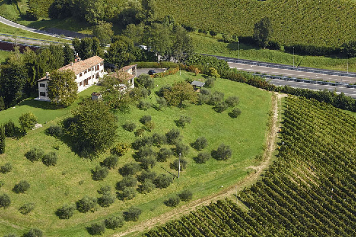 Vittorio Veneto, colpo in un’azienda agricola di Cozzuolo: rubato il furgone usato per il lavoro - 