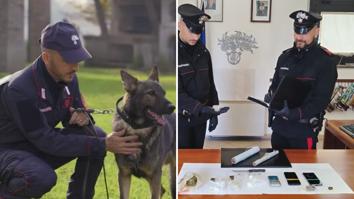 Martignacco, droga nascosta nell’area verde: due uomini portati in carcere a Udine - 
