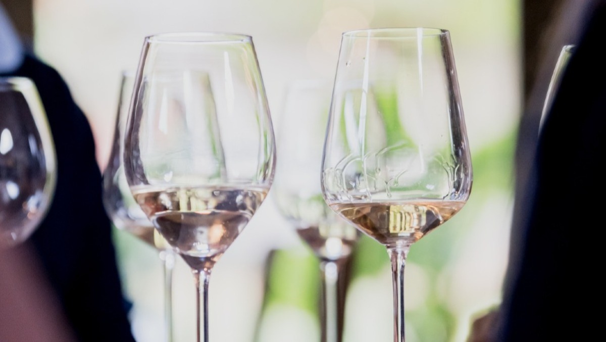 Colli Euganei nel calice a Villa dei Vescovi: weekend tra assaggi, cantine e visite - 