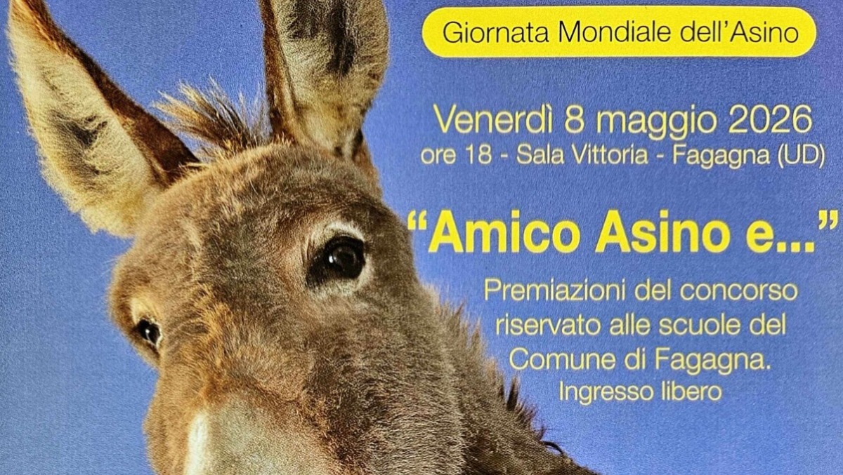Fagagna, in Sala Vittoria la festa delle scuole per “Amico Asino e…” - 