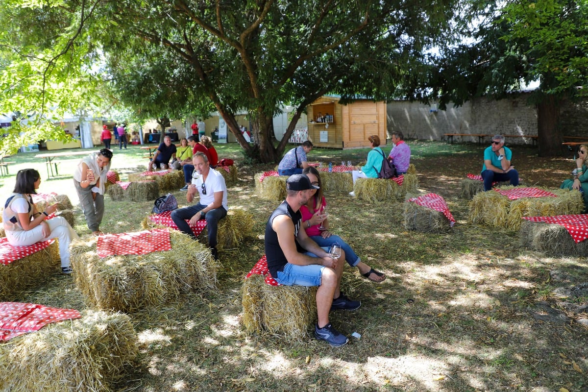 Villa Maseri rilancia l’olio del territorio: a Oleis tre giorni tra assaggi, incontri e premio regionale - 
