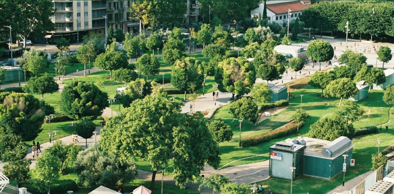 A Pordenone un confronto su alberi, clima e aria pulita: il 27 maggio incontro al Consorzio Universitario