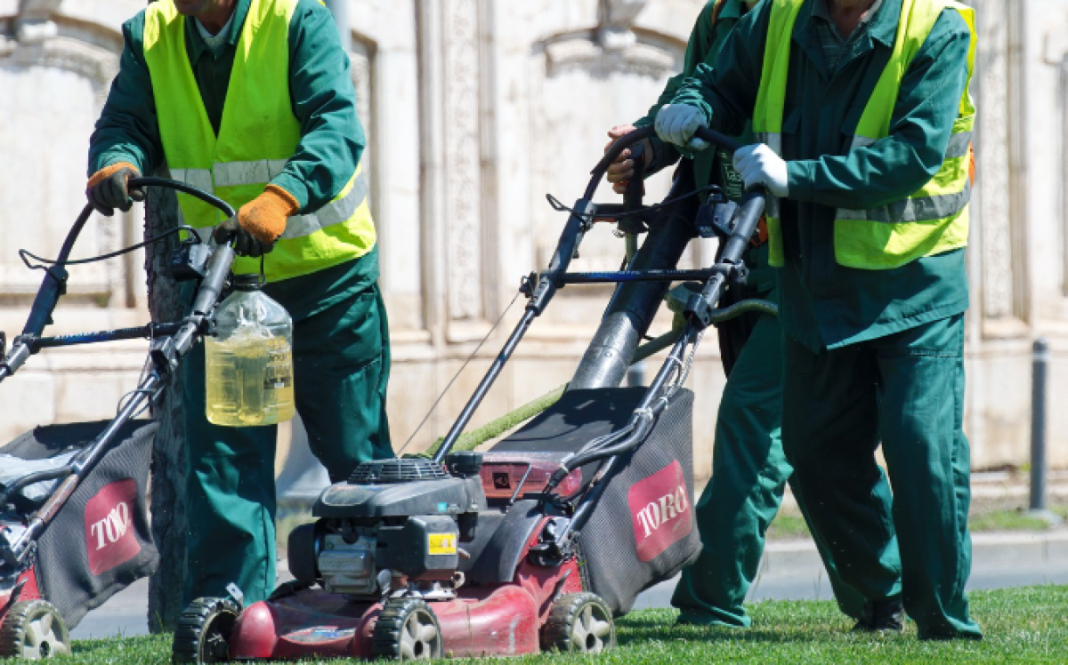 Pederobba, volontariato civico per giovani stranieri: il Comune avvia un percorso con attestazione finale - 