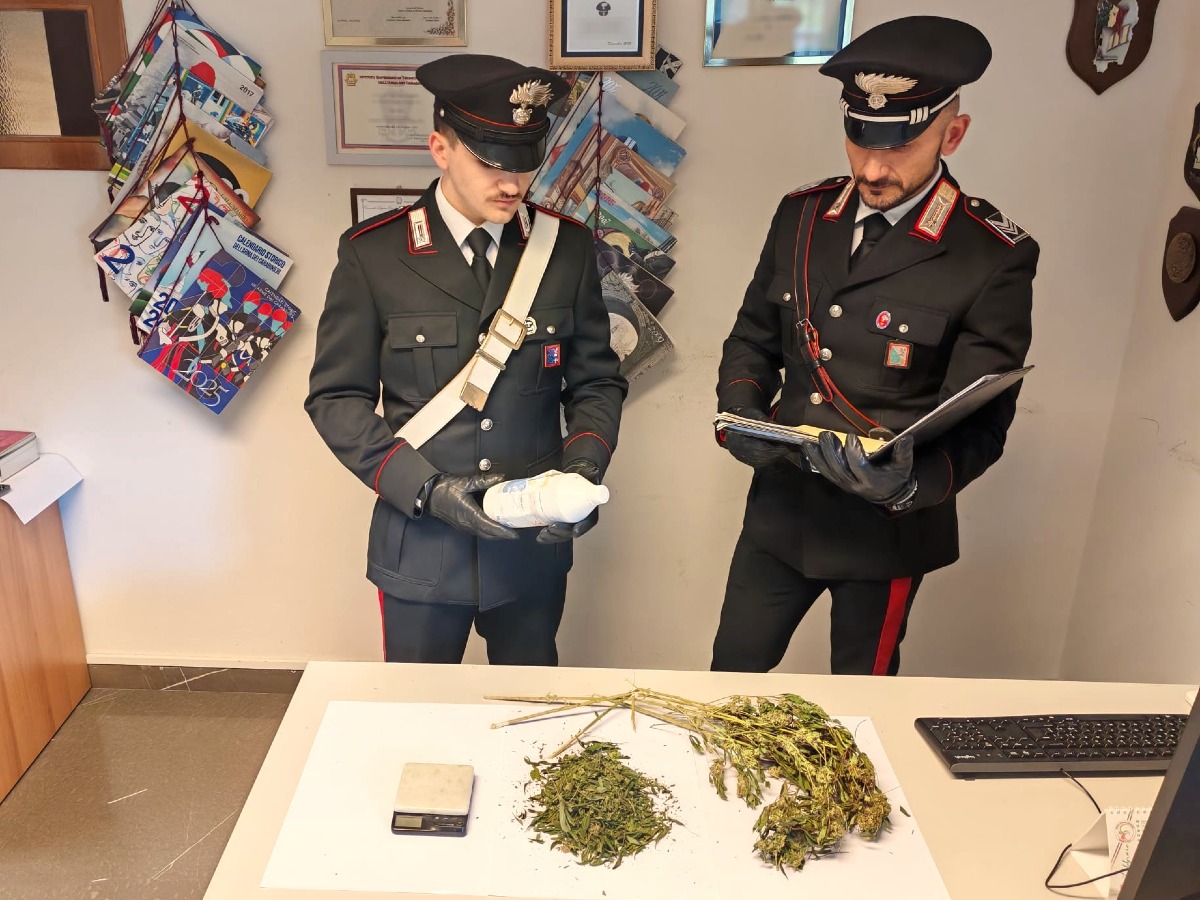  CIVIDALE DEL FRIULI, ALLOGGIO POPOLARE UTILIZZATO PER L’ESSICCAZIONE DELLA MARIJUANA.