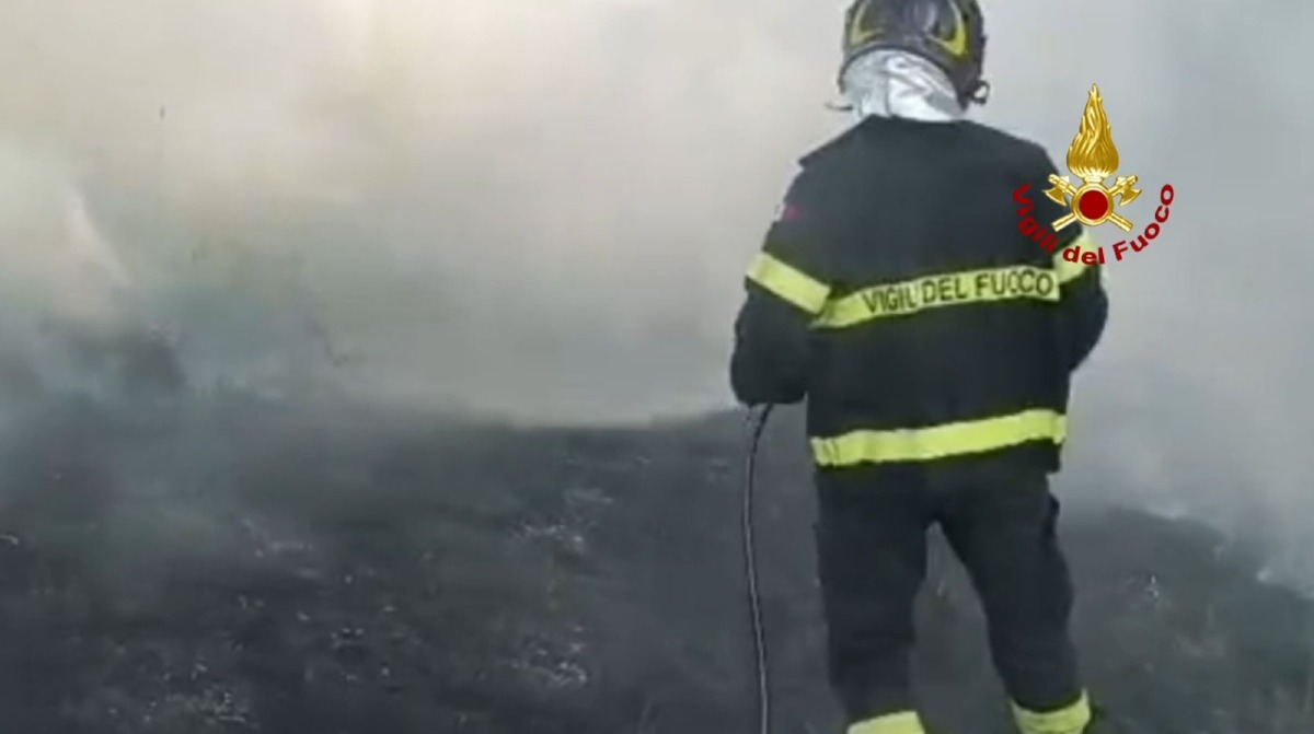 TRIESTE (TS) – INCENDIO STERPAGLIE