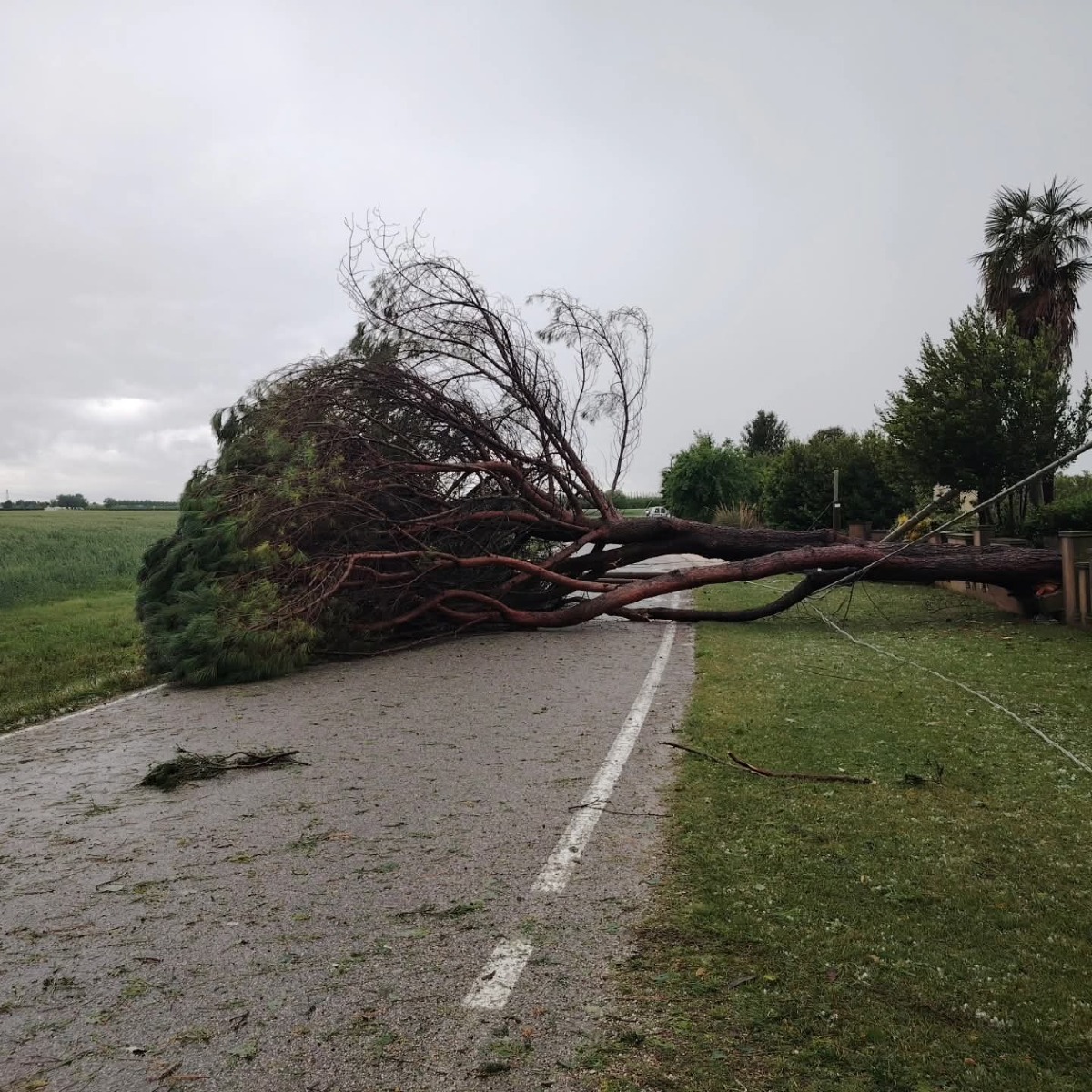 MALTEMPO FVG VENETO 12 MAGGIO 226