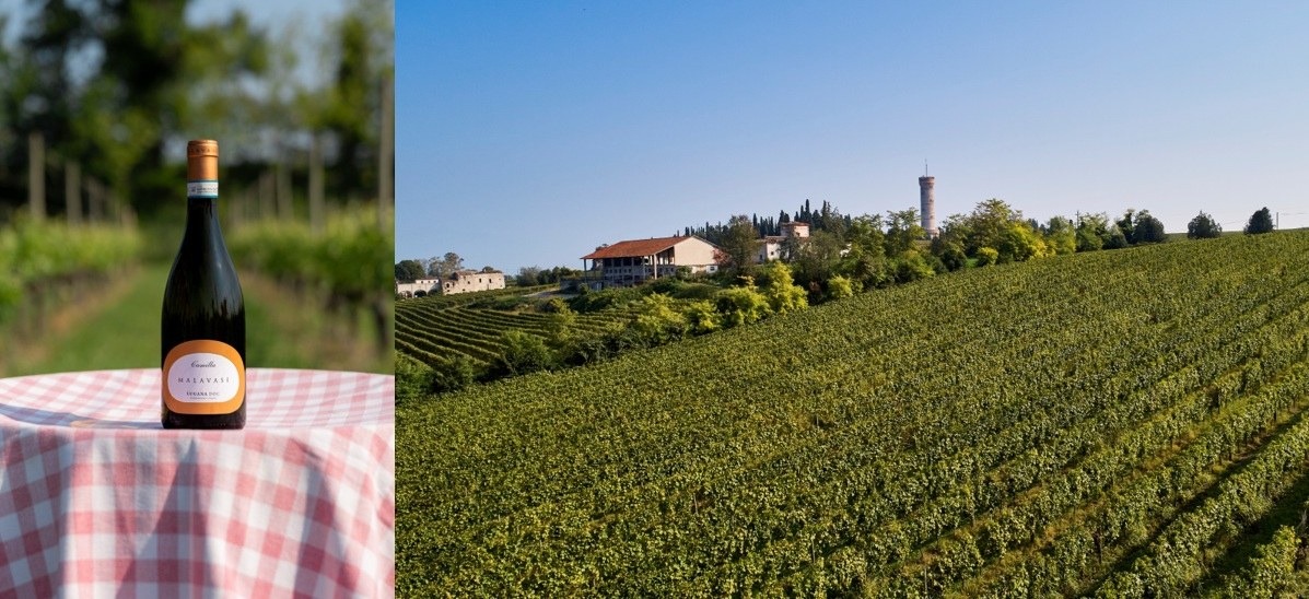 Vinitaly 2026, il Lugana Camilla 2025 di Tenuta Malavasi è il miglior bianco