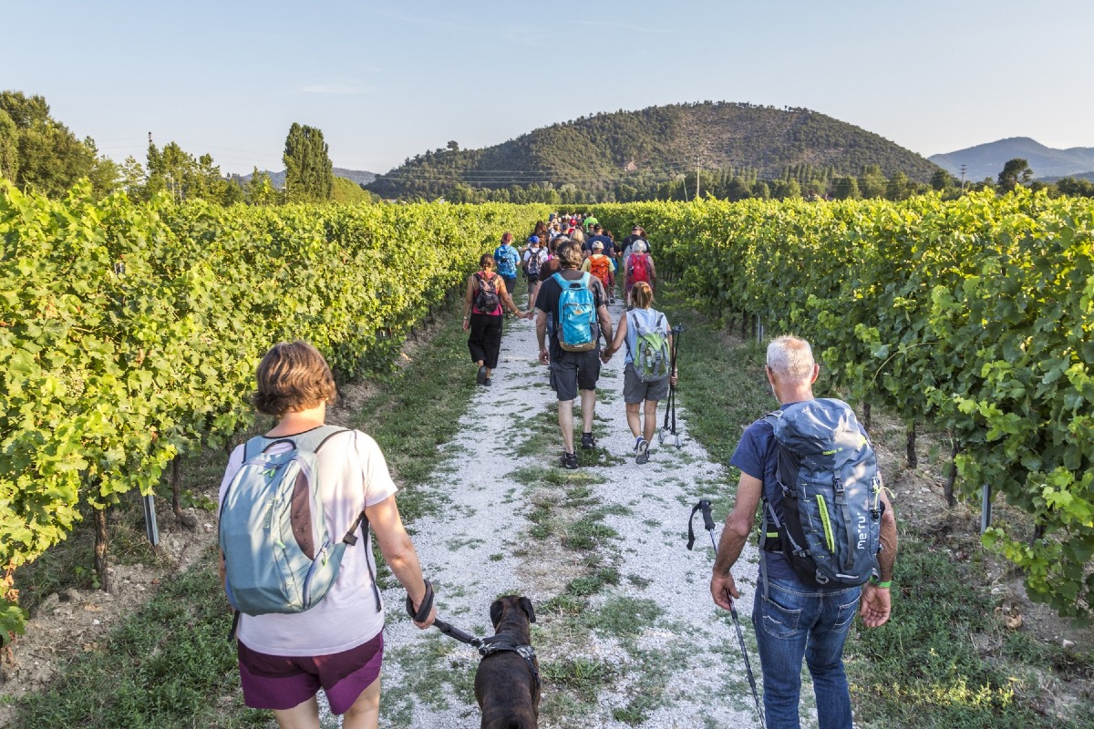 Sentieri Sonori Junior ad Abano Terme, domenica tra natura e musica per bambini