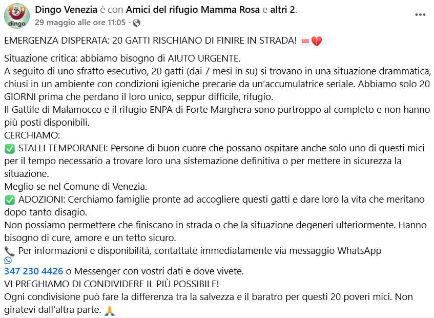 L'appello lanciato sui social