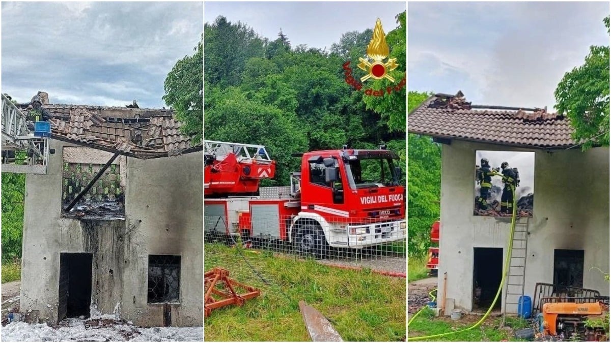 Limana, fiamme in un edificio agricolo: messo in salvo un toro - 