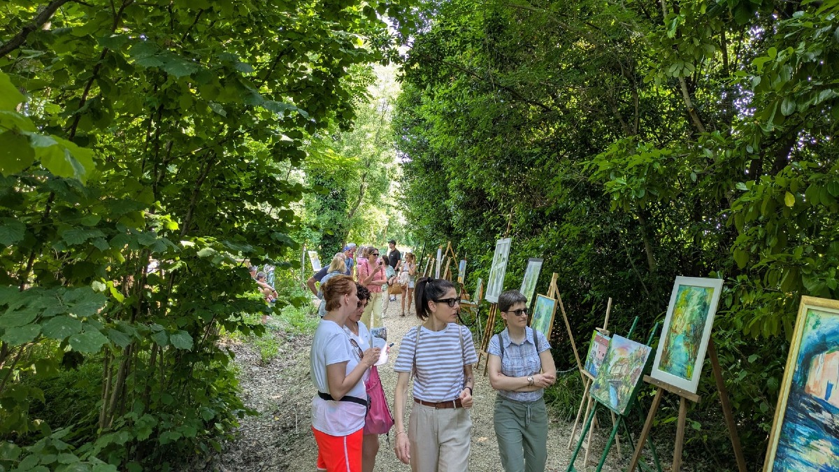 Mulini di Stalis, il 7 giugno una giornata tra mostre, musica e camminata guidata - 