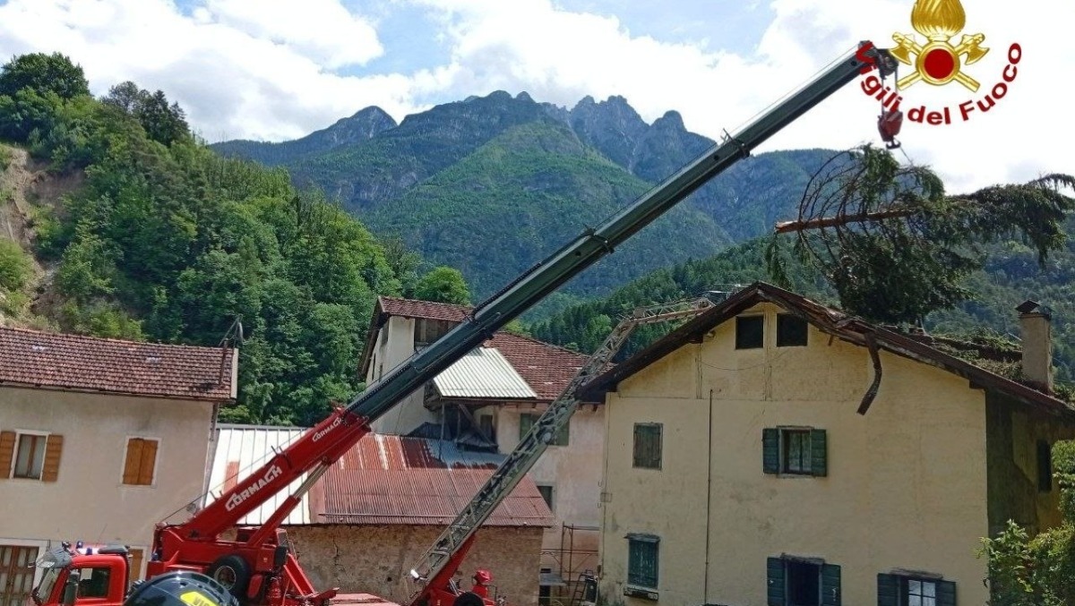 Albero di 30 metri cade su una casa a Perarolo: tetto danneggiato, interviene l’autogru - 