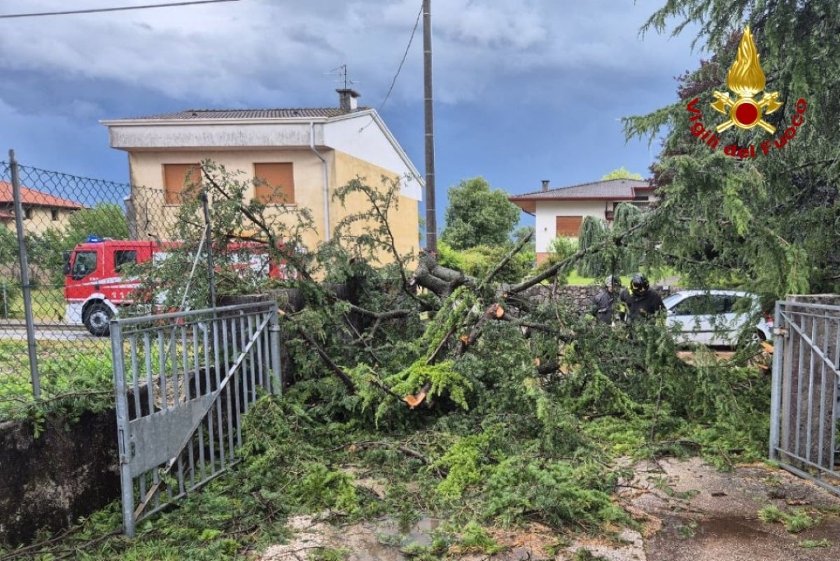 Tempesta sul Friuli, alberi a terra e allagamenti: maxi lavoro per i vigili del fuoco - 